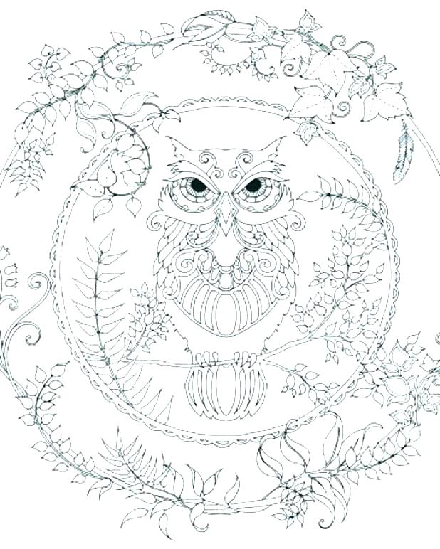618x772 Enchanted Coloring Pages Enchanted Coloring Pages Owl Printable
