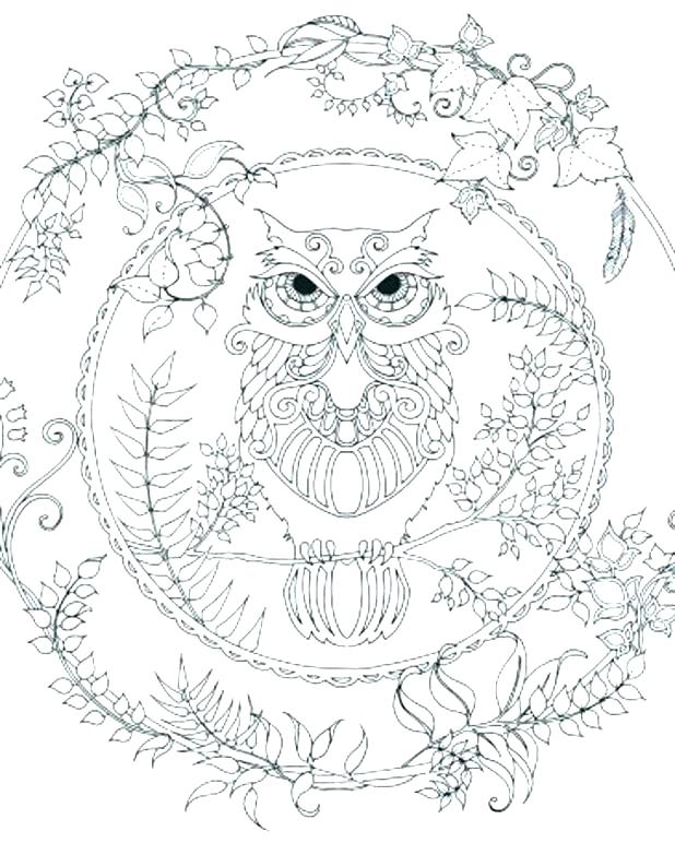 618x772 Enchanted Coloring Pages Owl Printable Exciting Page Print Cute