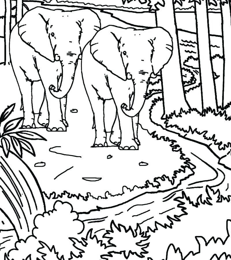 800x900 Ellis Island Coloring Pages Page