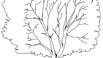 355x200 Coloring Pages Christmas Tree Blank Printable Coloring For Kids 2018