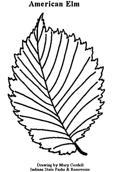 364x550 Dnr Coloring Pages