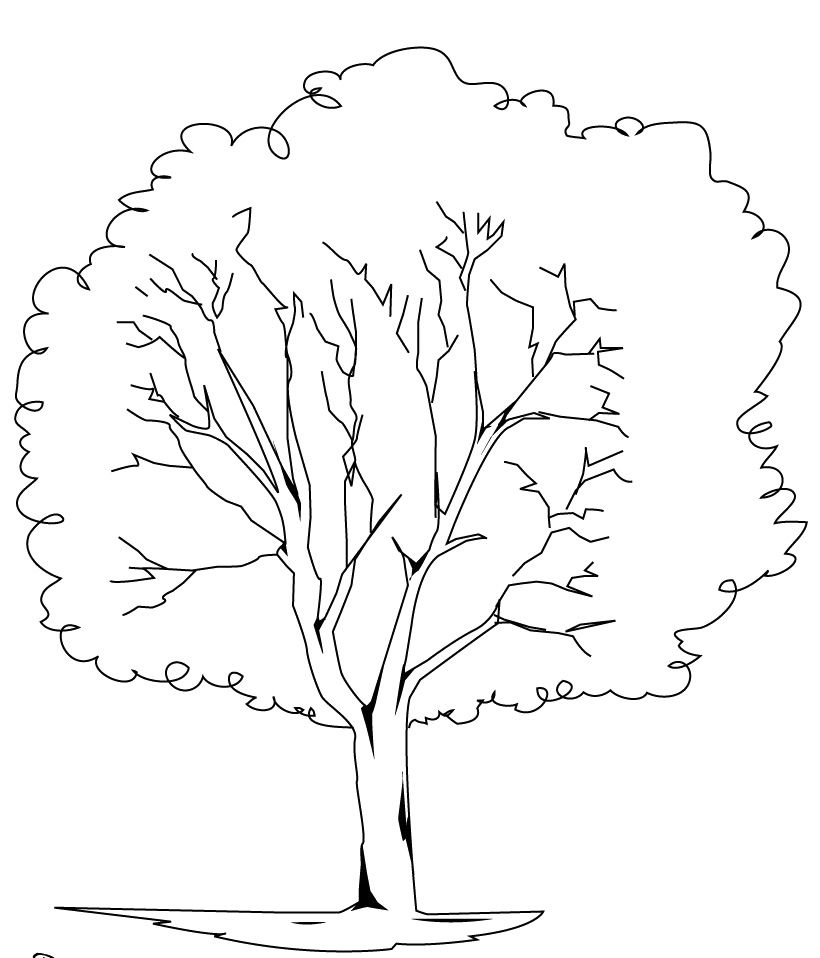 820x958 Elm Tree Coloring For Kids Peinture Arbres Et