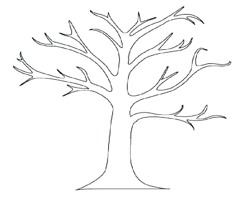800x654 Palm Tree Coloring Page Coconut Coloring Coconut Tree Coloring