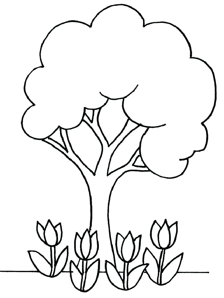 750x1000 Printable Tree Coloring Pages Coloring Page Is A Good Pattern