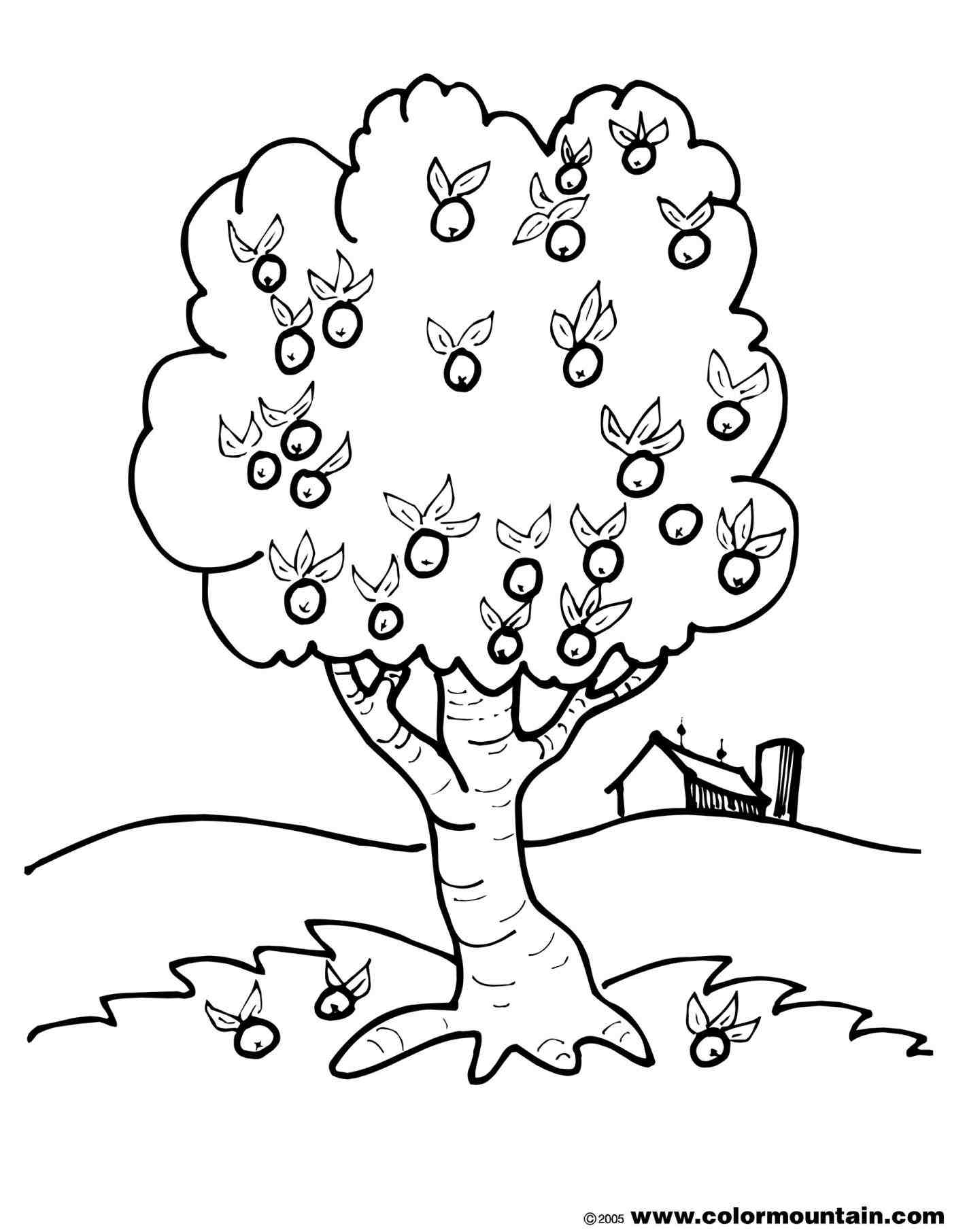 1422x1812 Simple Tree Coloring Page Many Interesting Cliparts