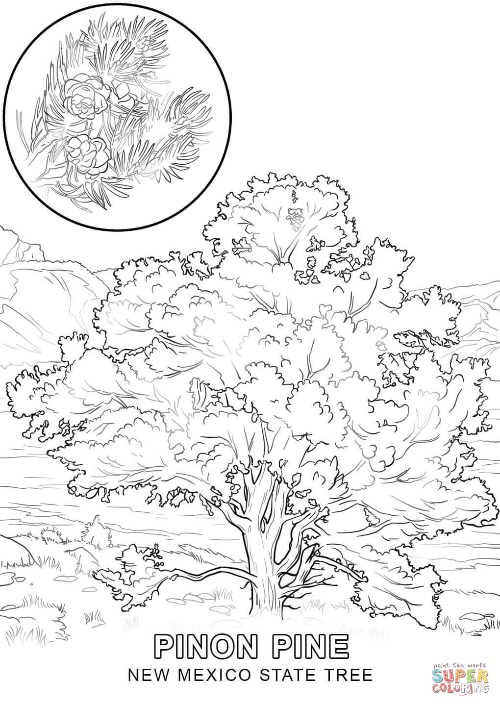 1020x1440 Tree Coloring Pages Page Image Clipart Images