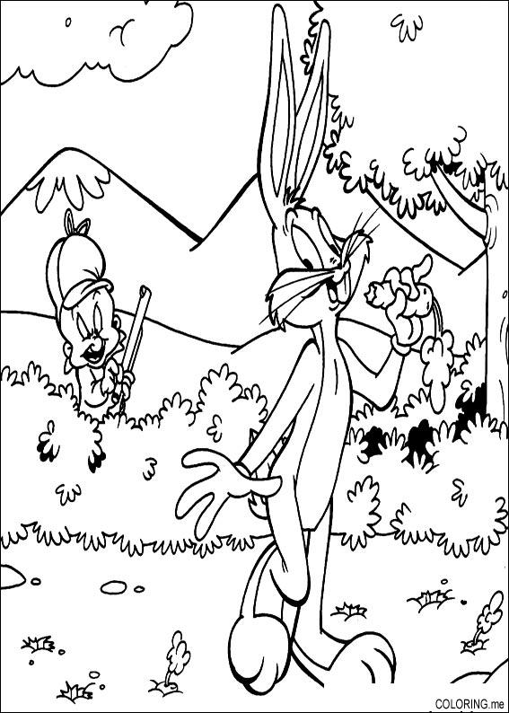 567x794 Coloring Page Bugs Bunny And Elmer Fudd