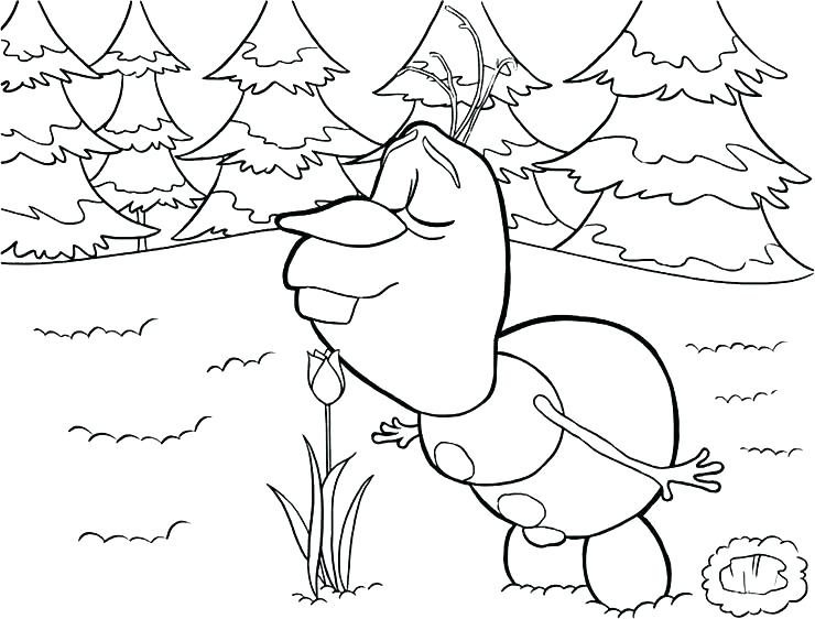 740x562 Frozen Fever Elsa Coloring Pages