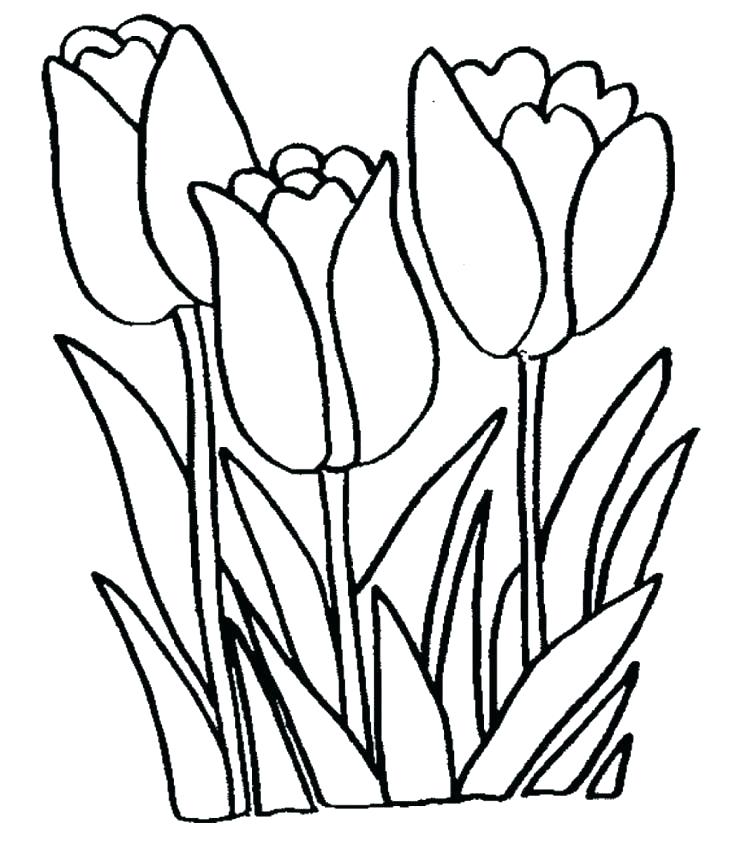 736x842 Elvis Presley Coloring Pages Cliptext.co
