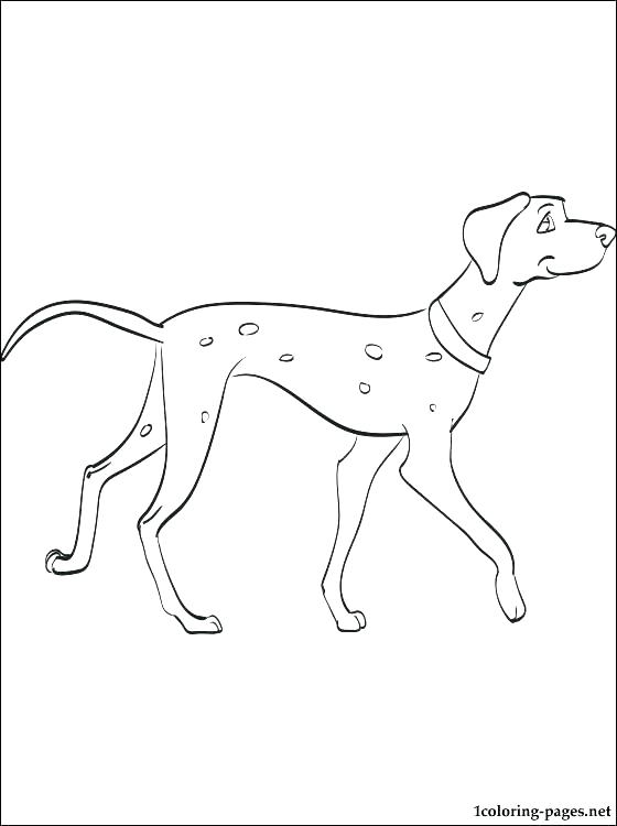 560x750 Emerald City Coloring Sheets Ox Page Pages Dalmatians Wizard Of Oz
