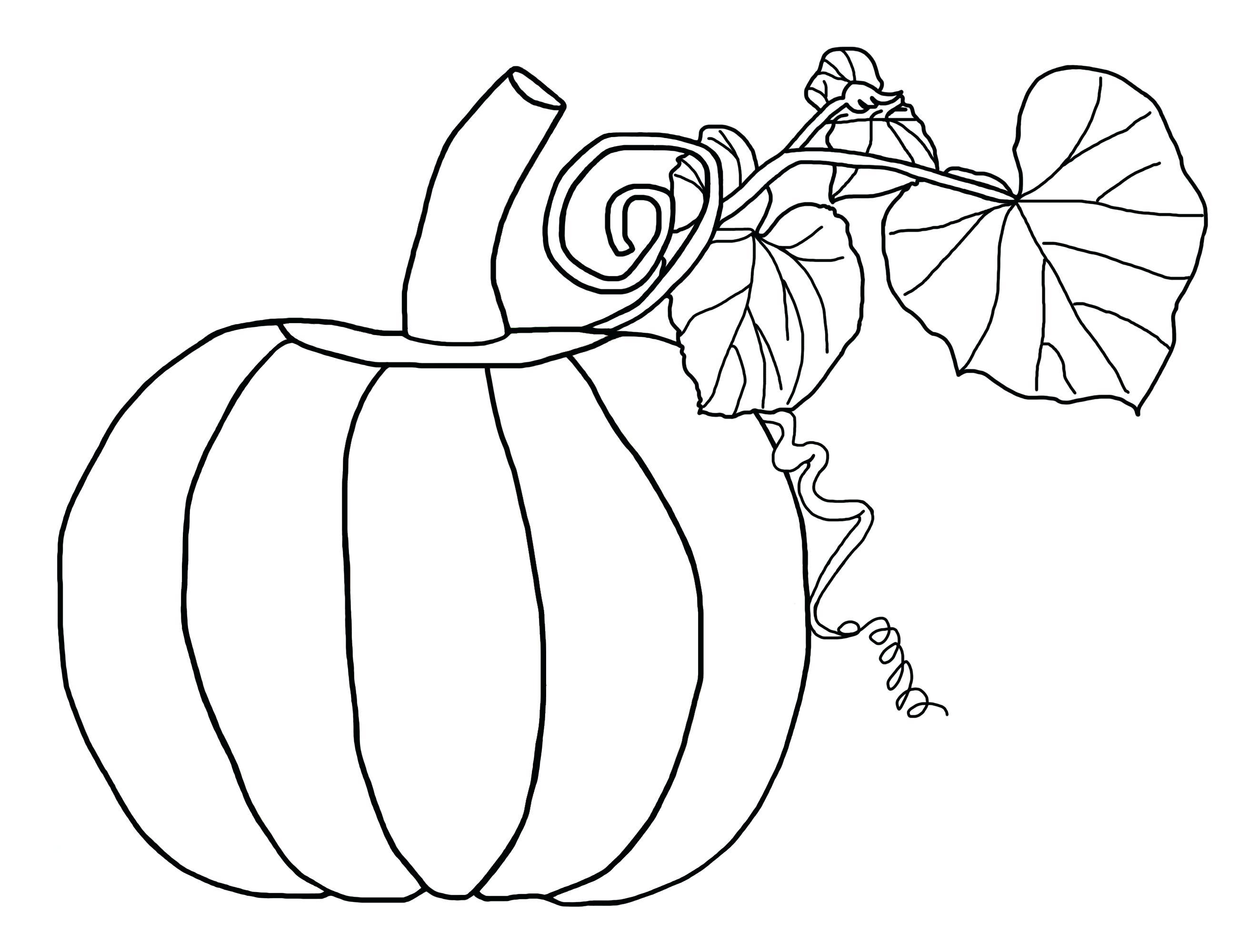 2600x2000 Appealing Wizard Of Oz Coloring Pages Emerald City Weddings Back