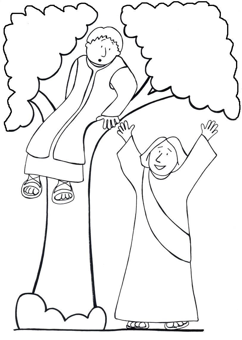 813x1144 Zacchaeus Coloring Page 1