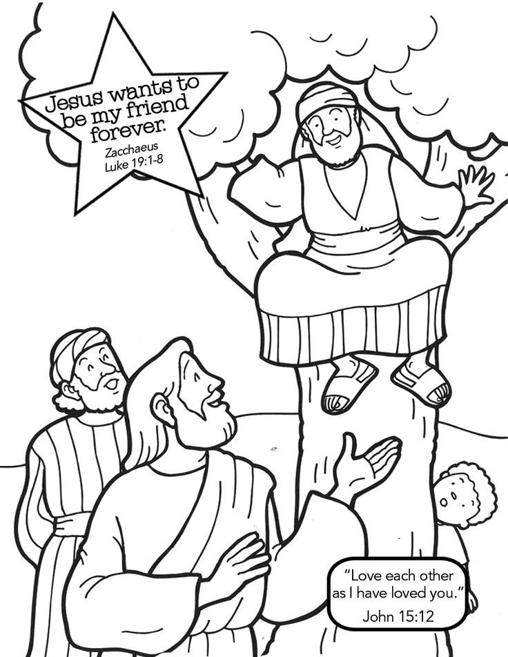 736x952 Zacchaeus Coloring Page 5