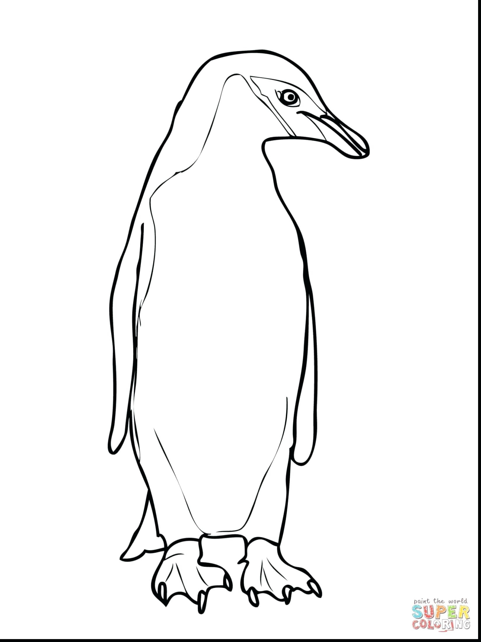 1650x2200 Free Printable Penguin Coloring Pages For Kids Penguins Color