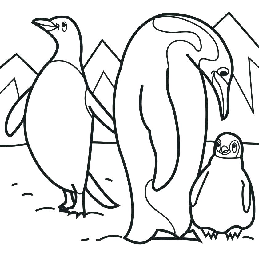 842x842 Penguin Coloring Pages Free Printable Emperor Penguin Coloring