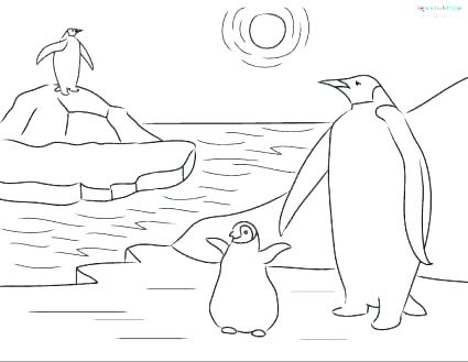 425x329 Coloring Page Penguin Amazing Penguin Coloring Pages Crayola Photo