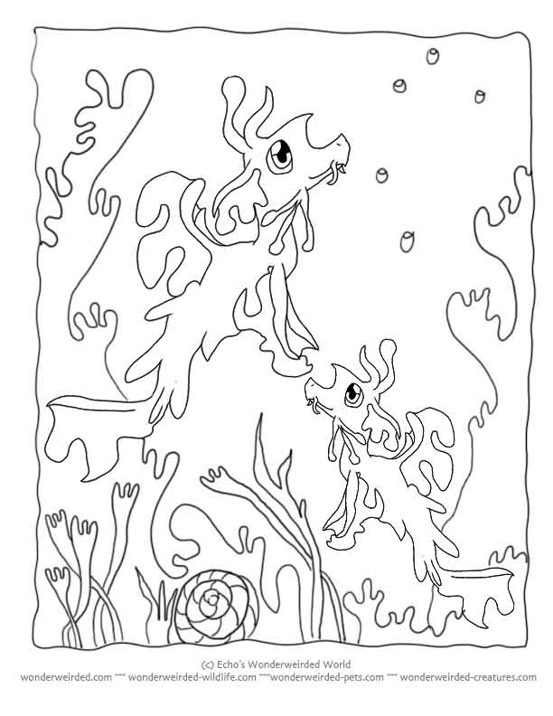 612x792 Empoleon Coloring Page 481243
