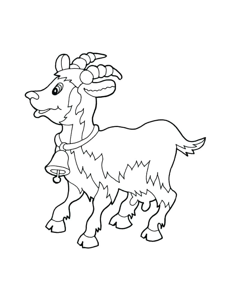 Emu Coloring Page