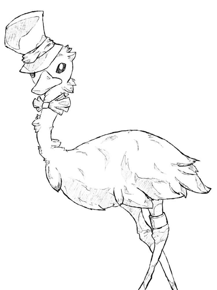 750x1000 Emu Birds Coloring Pages 8