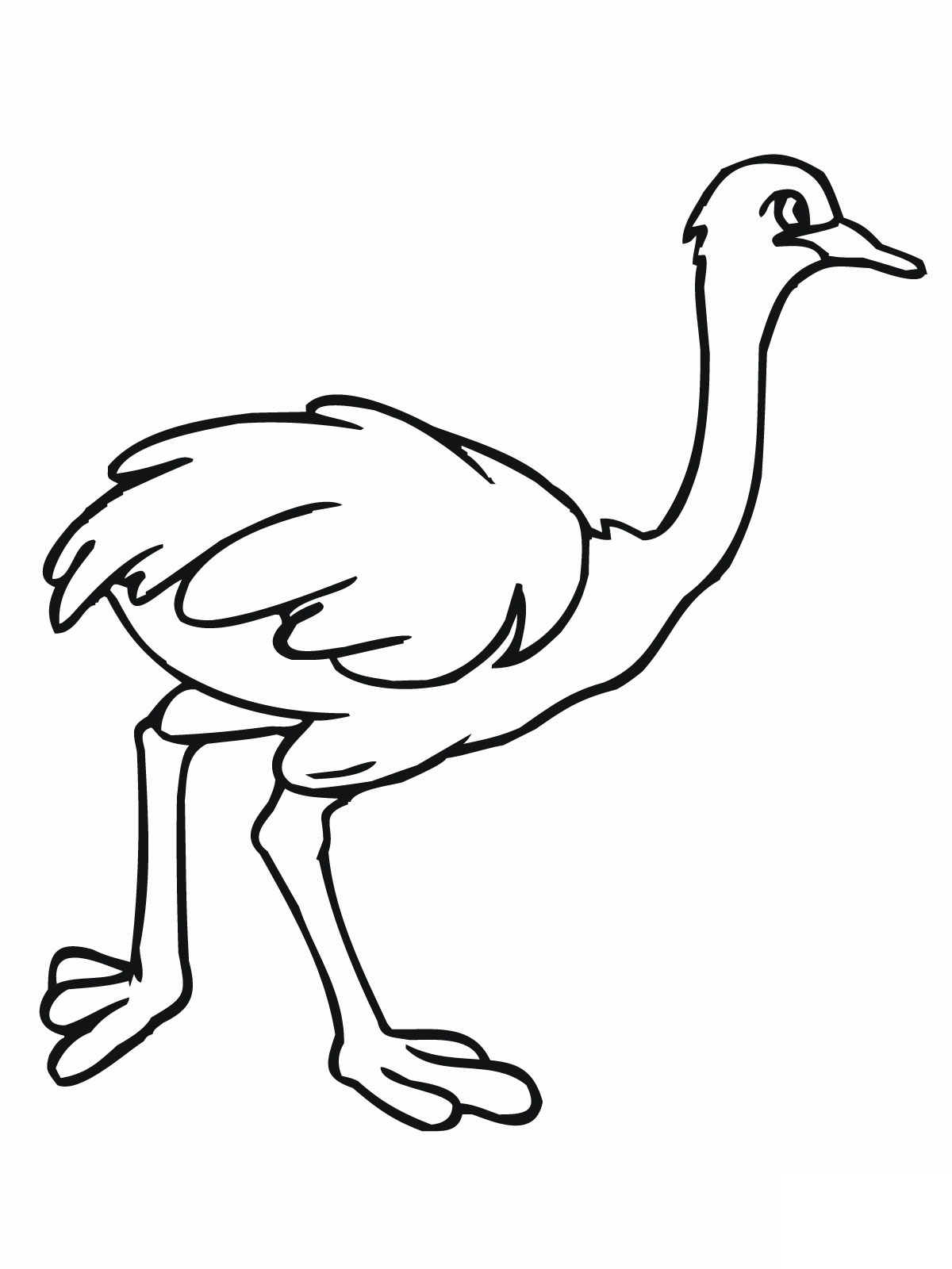 1200x1600 Free Printable Ostrich Coloring Pages For Kids