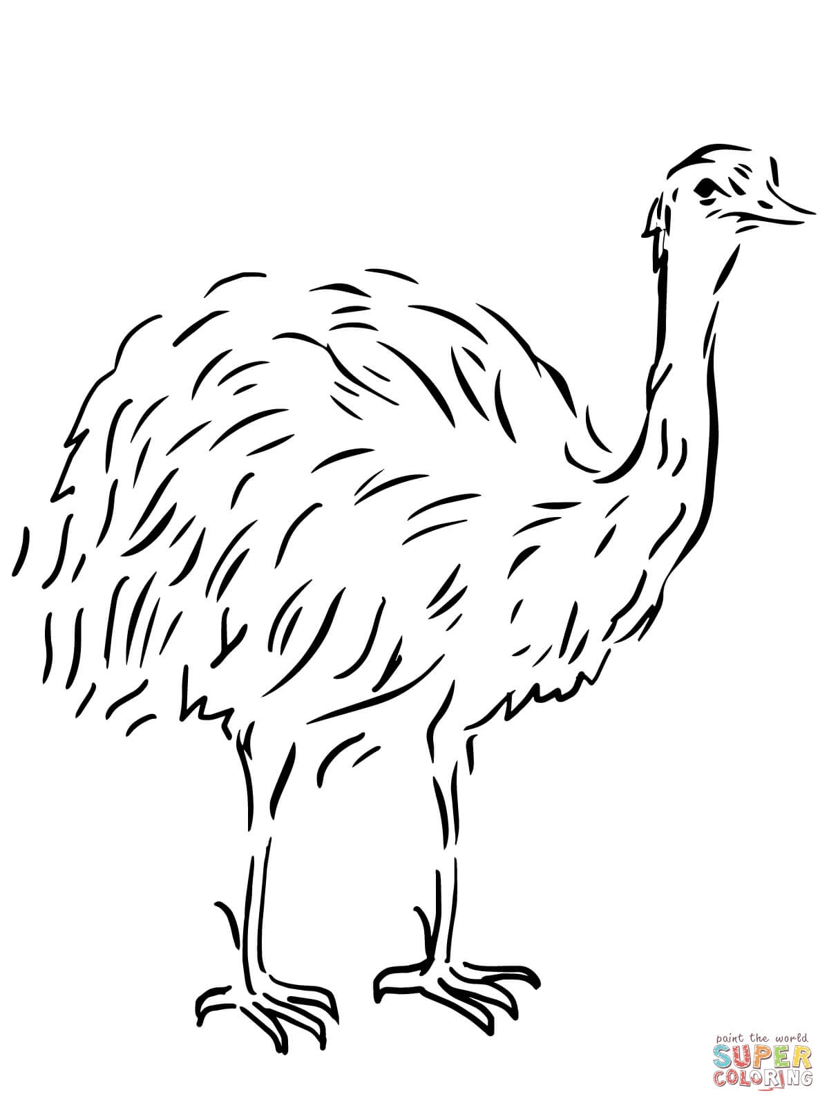 1200x1600 New Emu Page To Color Gallery Printable Coloring Sheet