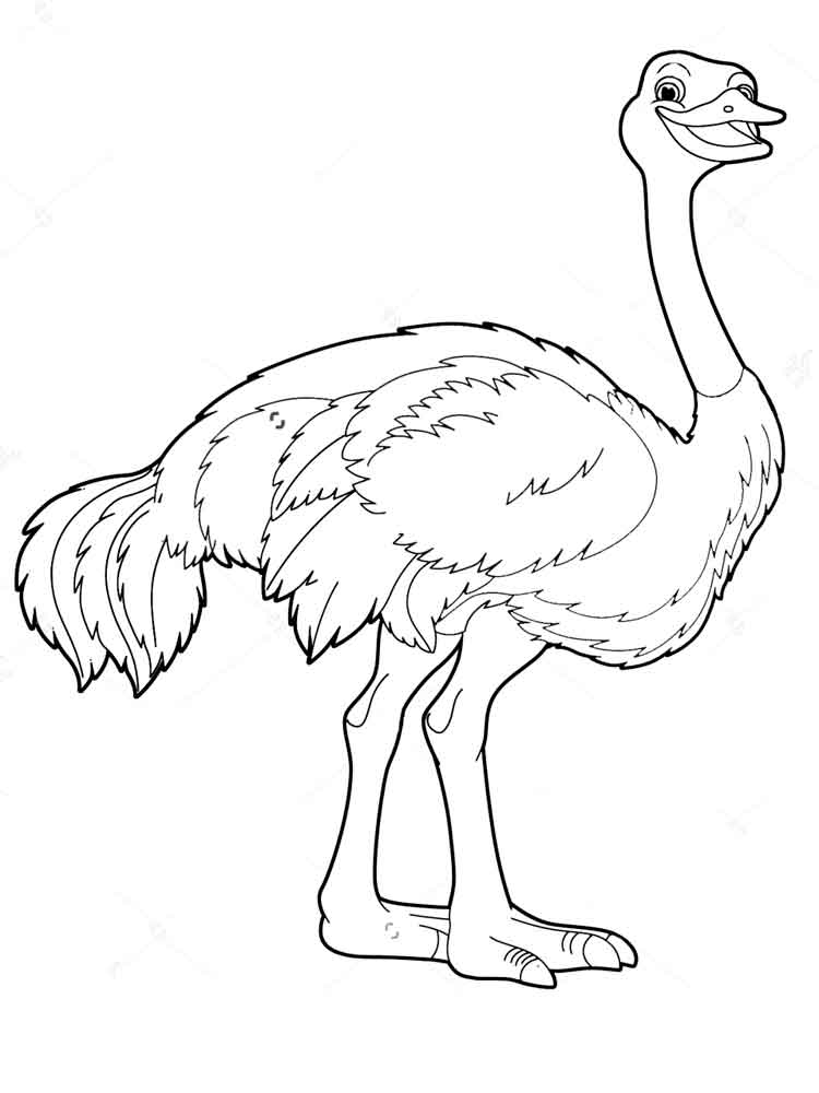 750x1000 Ostrich Coloring Pages. Download And Print Ostrich Coloring Pages