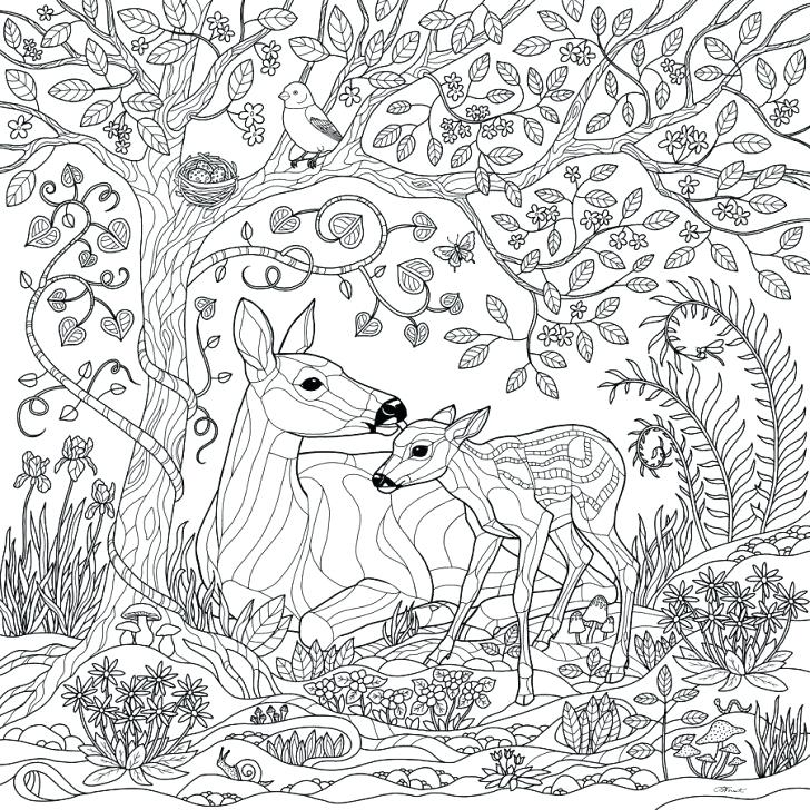 728x728 Enchanted Coloring Pages Enchanted Coloring Pages Enchanted Forest