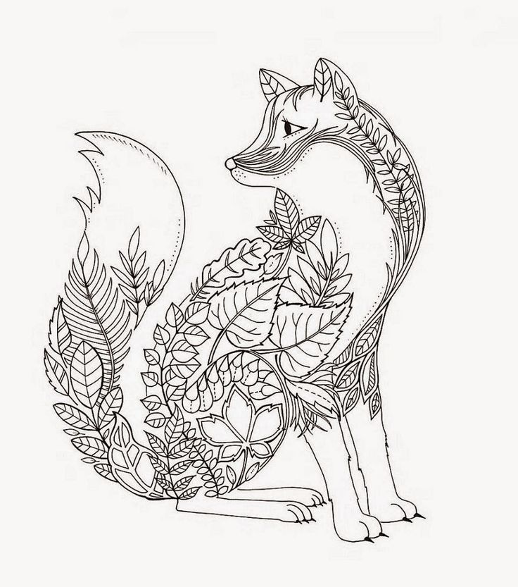 736x833 Enchanted Forest Coloring Pages
