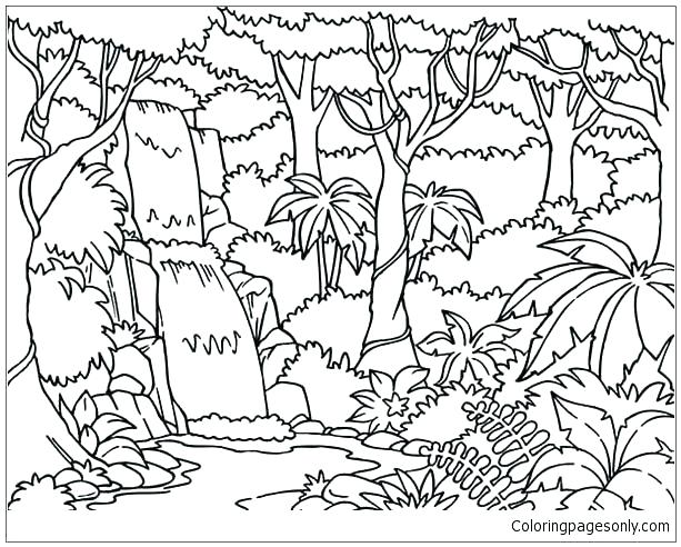 613x492 Forest Coloring Page Forest Coloring Page Flowers Coloring Pages