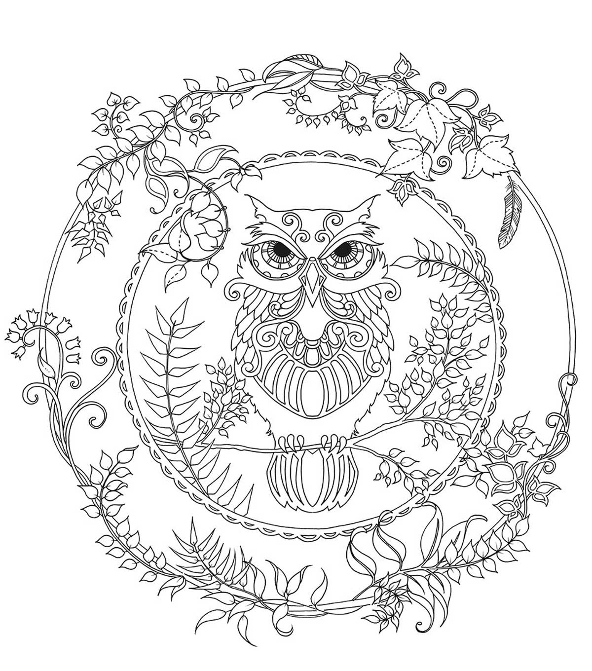 1200x1360 Perfect Design Enchanted Forest Coloring Book Chronicle Books