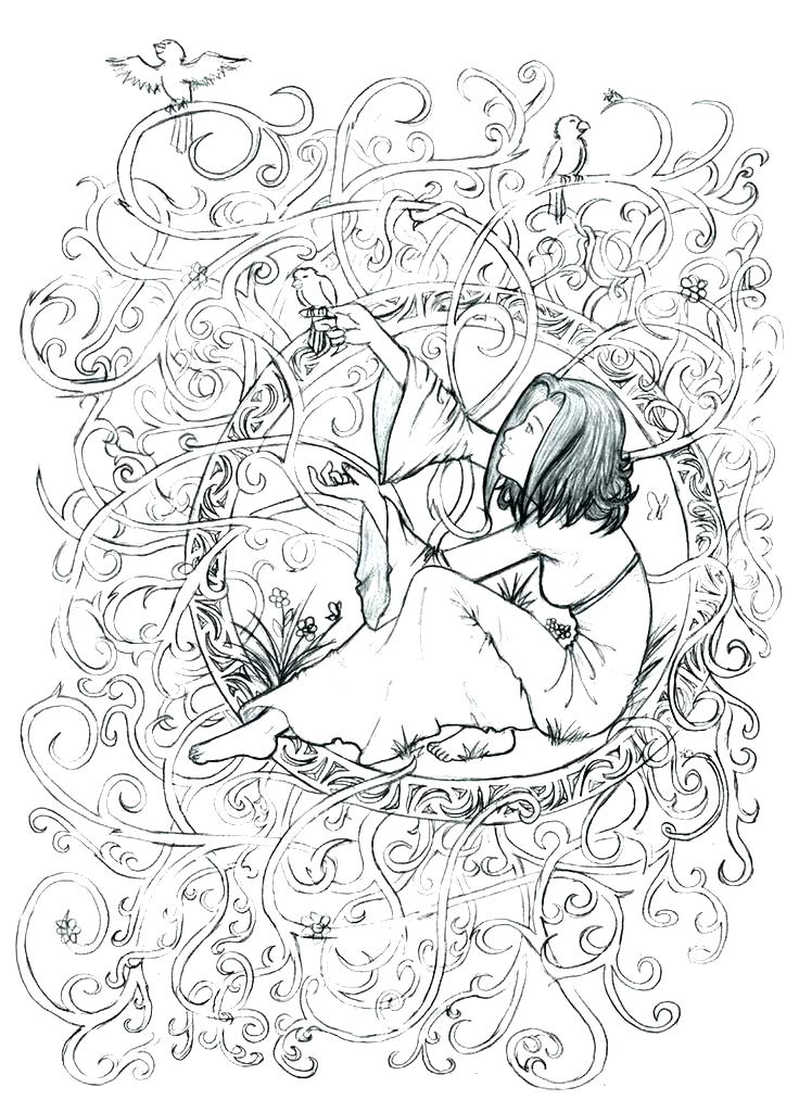736x1013 Enchanted Forest Coloring Pages Cool Coloring Books For Adults S
