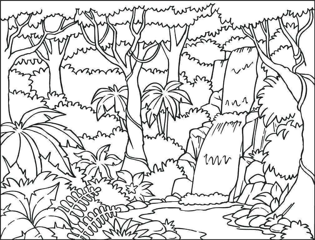 1009x768 Forest Coloring Pages Rain Forest Coloring Pages Printable