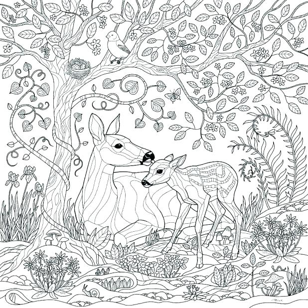 618x618 Rainforest Coloring Pages To Print Forest Coloring Pages Printable