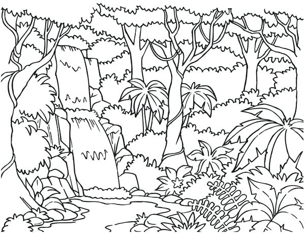 600x457 Coloring Forest Enchanted Forest Coloring Book Finished