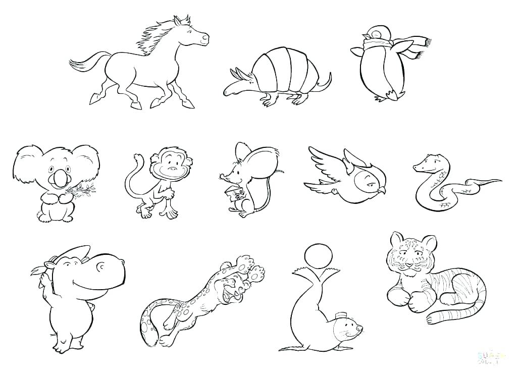 Endangered Animals Coloring Pages