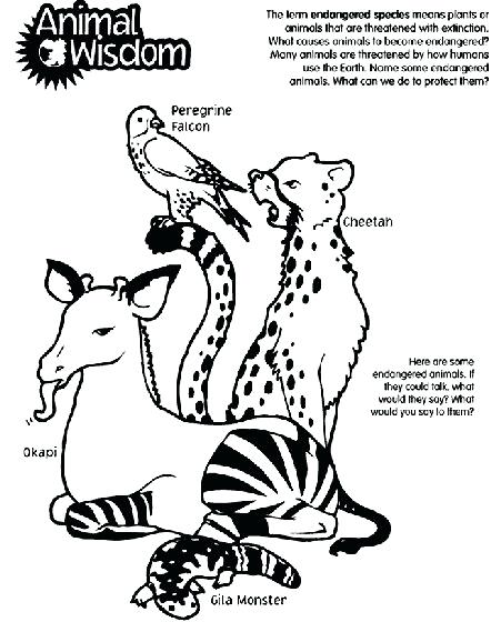 442x560 Endangered Species Coloring Pages Best Images About Free Coloring