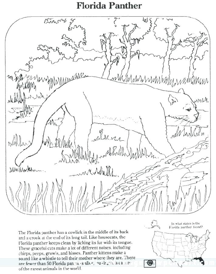 711x900 Endangered Species Coloring Pages Endangered Species Coloring Book