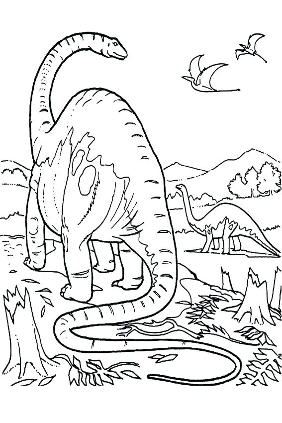 567x850 Endangered Species Coloring Pages Extinct Animals Coloring Pages