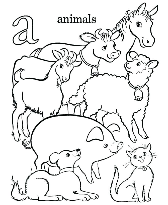 670x820 Australian Animal Coloring Pages Animals Coloring Pages Koala
