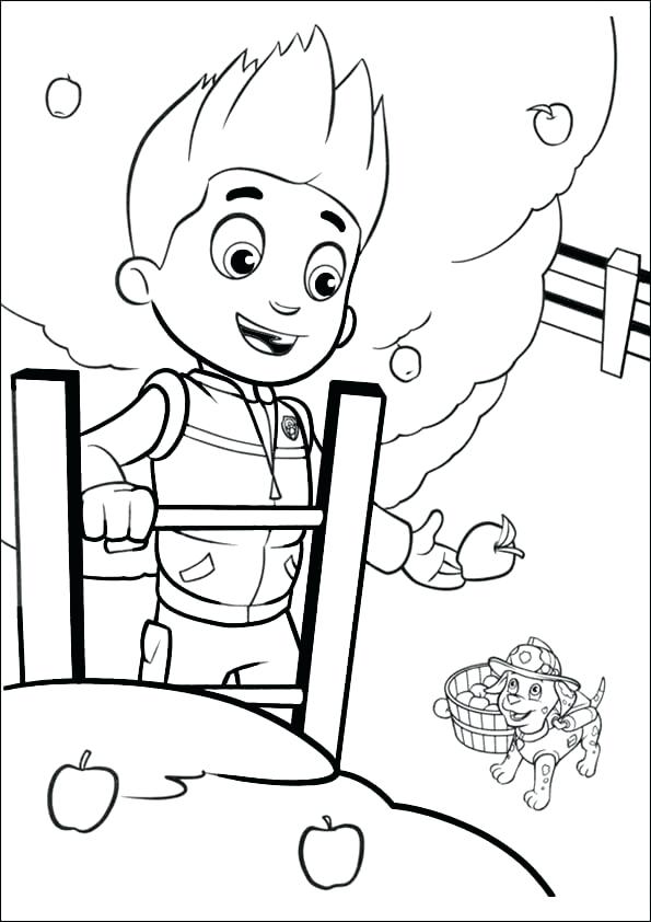 595x842 Endangered Species Coloring Pages View Larger Free Endangered