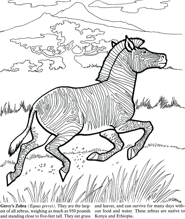 650x770 Printable Coloring Pages Coloring Pages Printable Coloring Pages