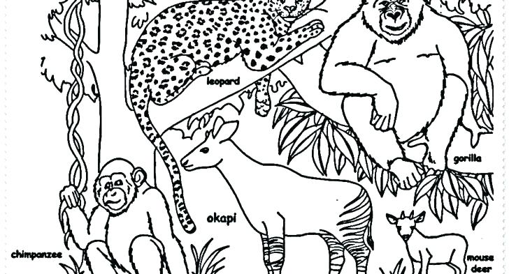 728x393 Coloring Page Coloring Page Coloring Sheets Endangered Animals