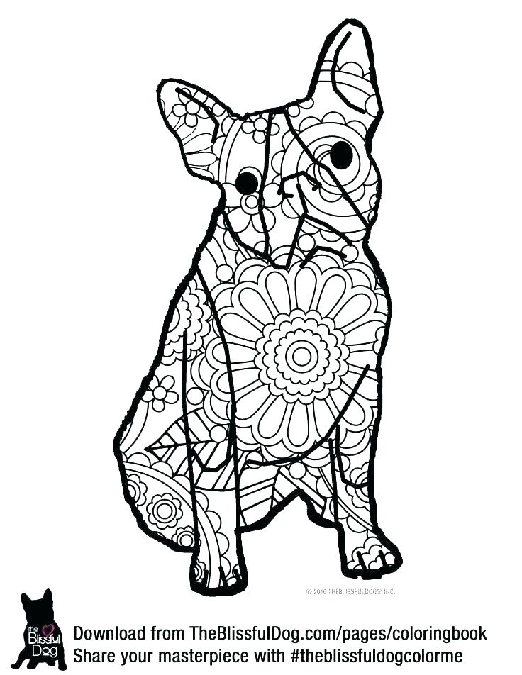 736x952 Endangered Species Coloring Pages Animals Coloring Sheets Coloring