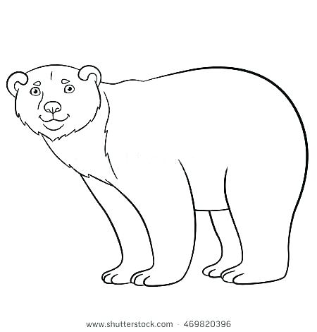 450x470 Endangered Species Coloring Pages Endangered Animals Coloring