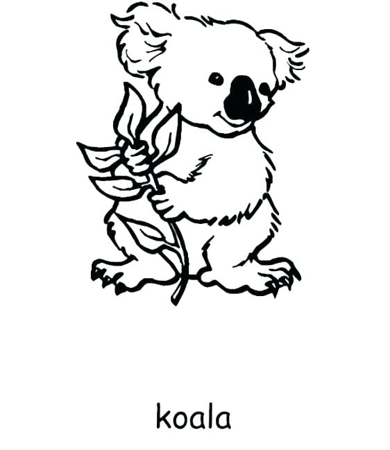 562x649 Free Endangered Species Coloring Pages Day Animals Colouring Hi 5