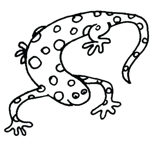 528x488 Free Endangered Species Coloring Pages Polar Bear Cub By On
