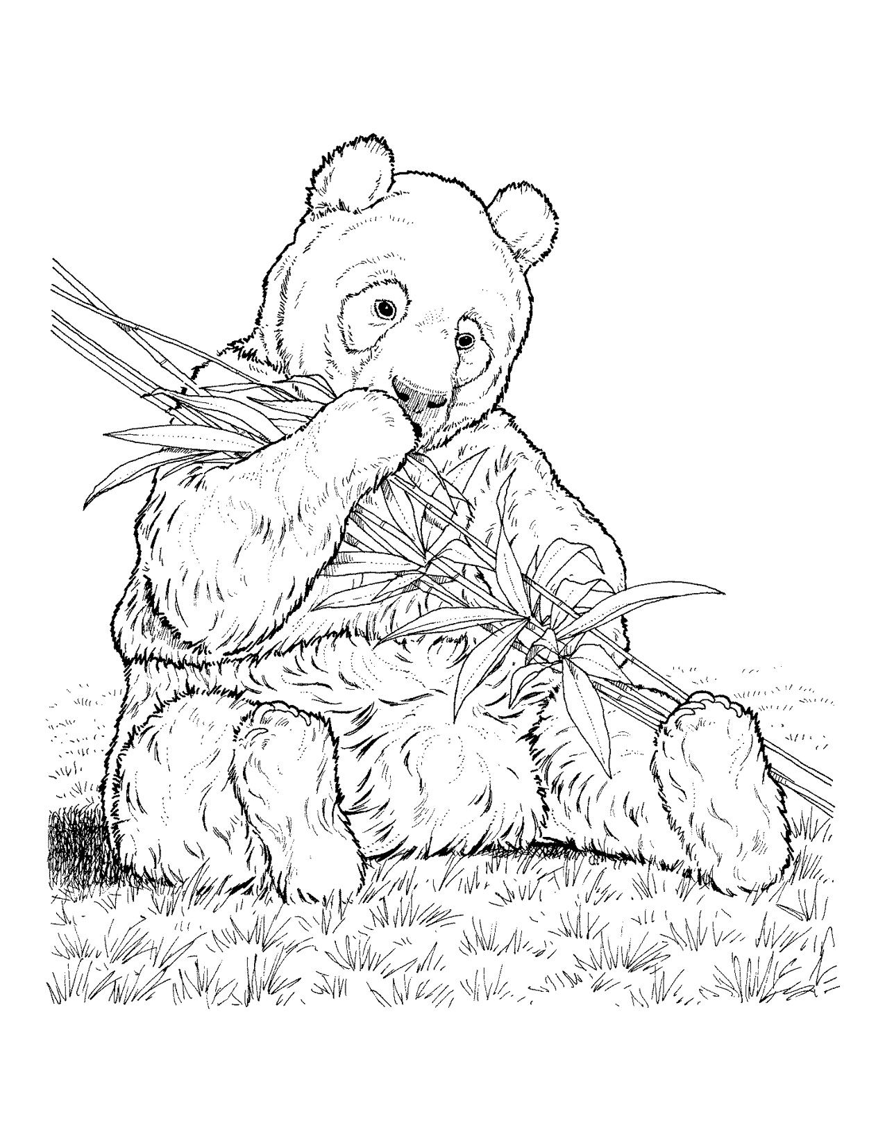 1275x1650 Fresh Free Endangered Animals Coloring Pages Colors Print