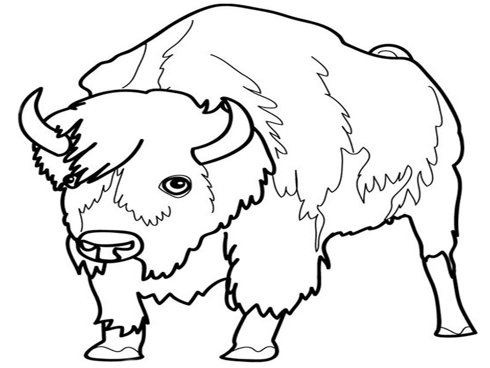 1600x1200 Coloring Endangered Species Coloring Pages
