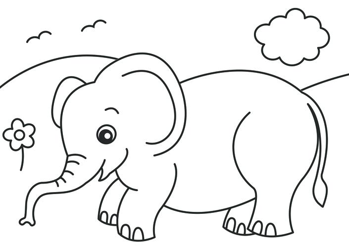 705x505 Colouring Book To Protect Endangered Animals Paw Patrol Coloring