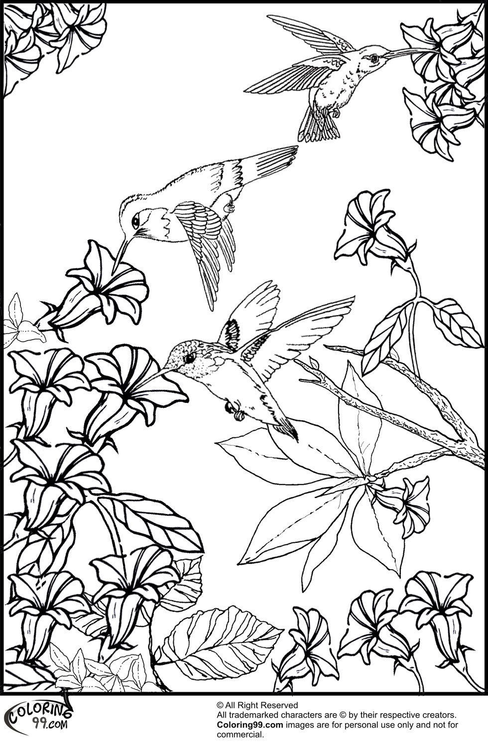 980x1500 Tremendous Tikki Tembo Coloring Pages England Flag To Colour 7387
